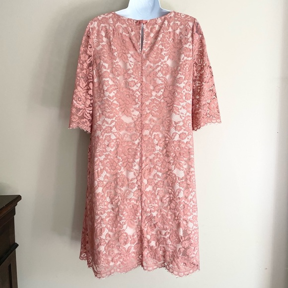 HITHERTO | BHLDN Pink Lace Half Sleeve Shift Mini Dress Women's Size 10 - Picture 7 of 10